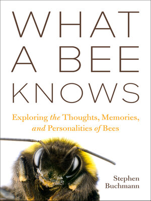 cover image of What a Bee Knows